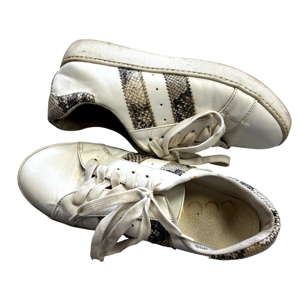 Ccocci Iris Snake Print Low Top Sneakers Size 7